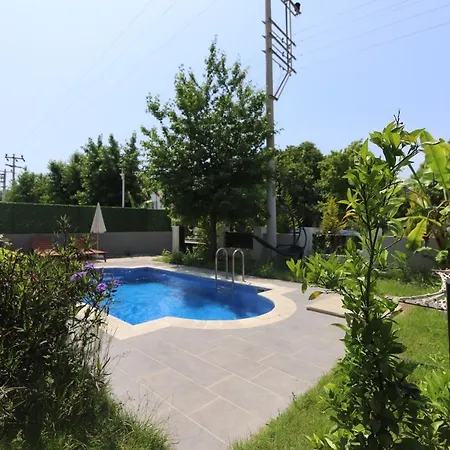 فيلة Serra
